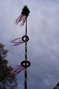 DSC01226