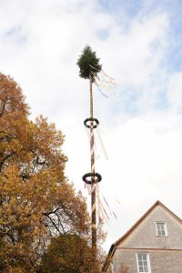 MKR00503